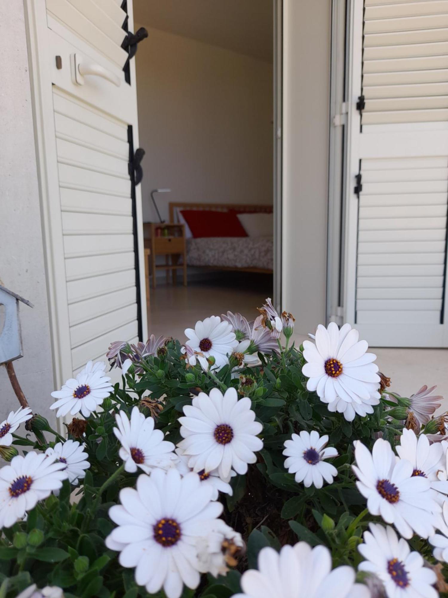 Tenuta Valle Dell Idro Otranto Con Piscina Casamassella Ngoại thất bức ảnh