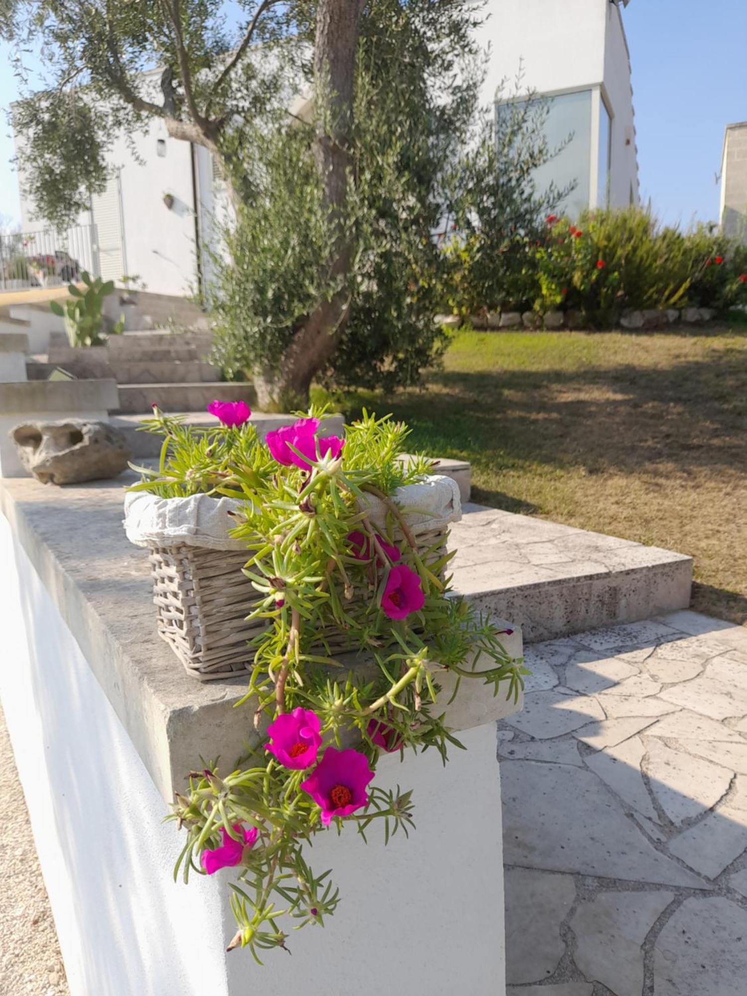 Tenuta Valle Dell Idro Otranto Con Piscina Casamassella Ngoại thất bức ảnh